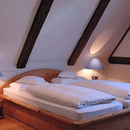 Schwarzer Adler Hotel Erlangen